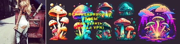 гидра Богородск