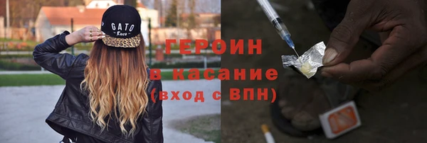 гидра Богородск