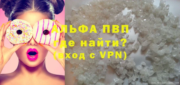 гидра Богородск