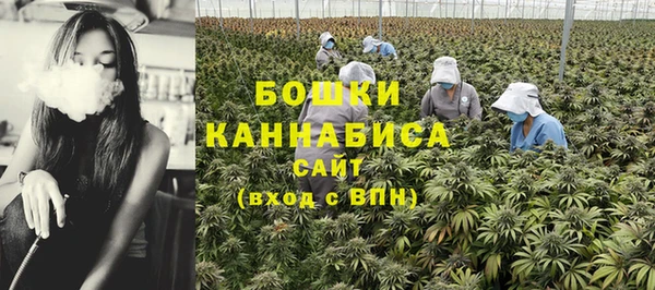 экстази Богородицк