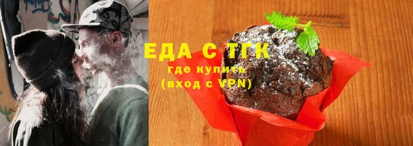 гашик Семилуки