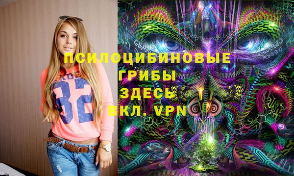 экстази Богородицк
