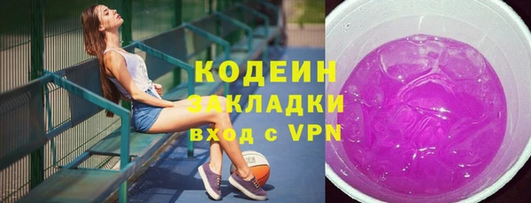 гидра Богородск